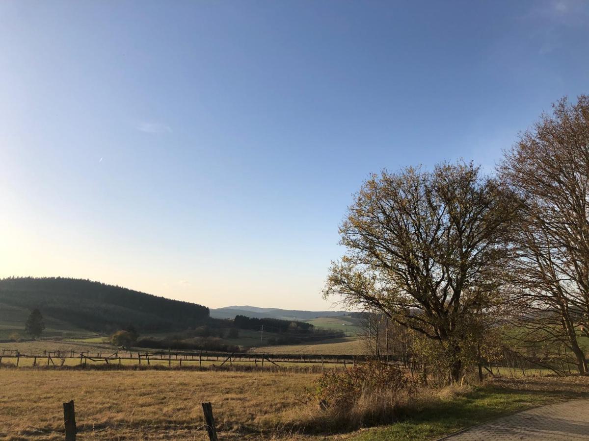 Ferienhaus Kuestelblick Medebach Eksteriør bilde