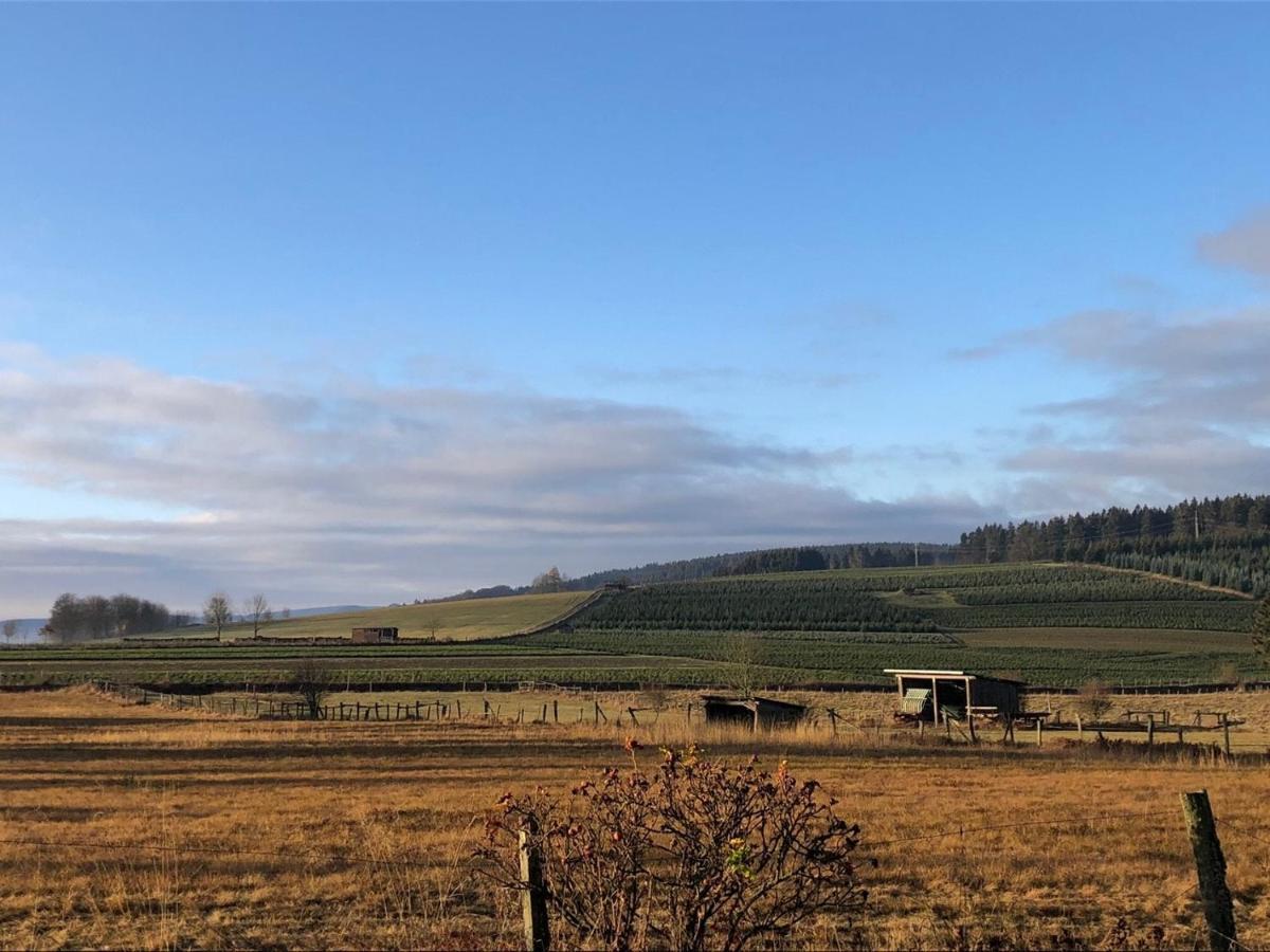 Ferienhaus Kuestelblick Medebach Eksteriør bilde